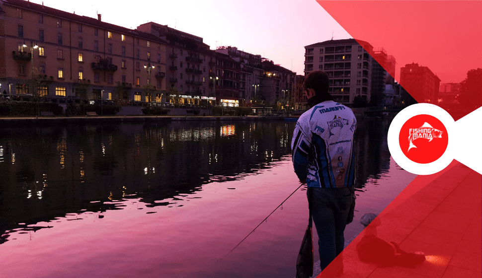 Spinning Street Fishing