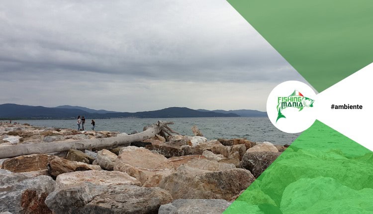 bracconaggio_eolie