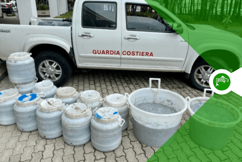 Sequestro di 450 kg di novellame