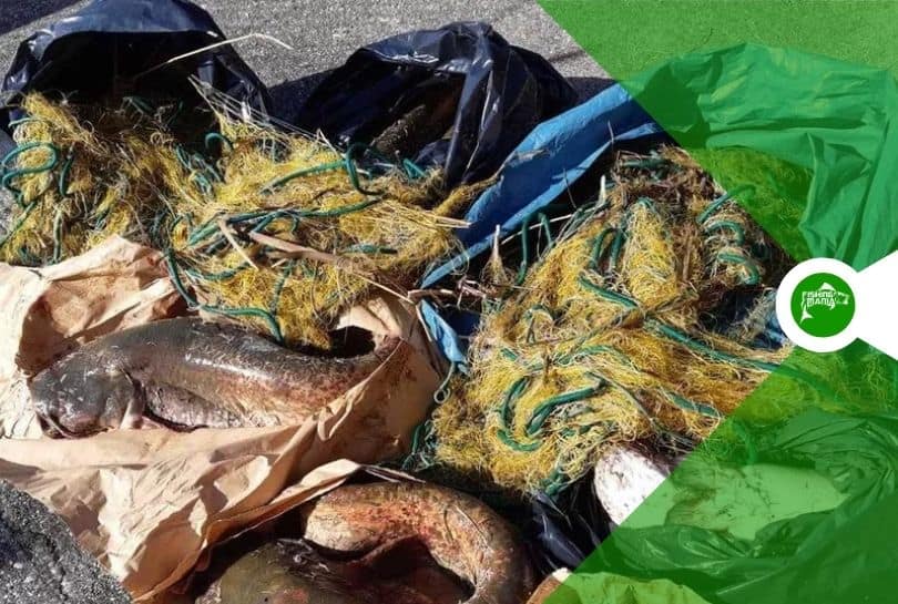 Rete per pesca di frodo canale Silos