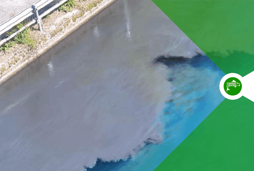 Sversamento di idrocarburi nel Naviglio Grande