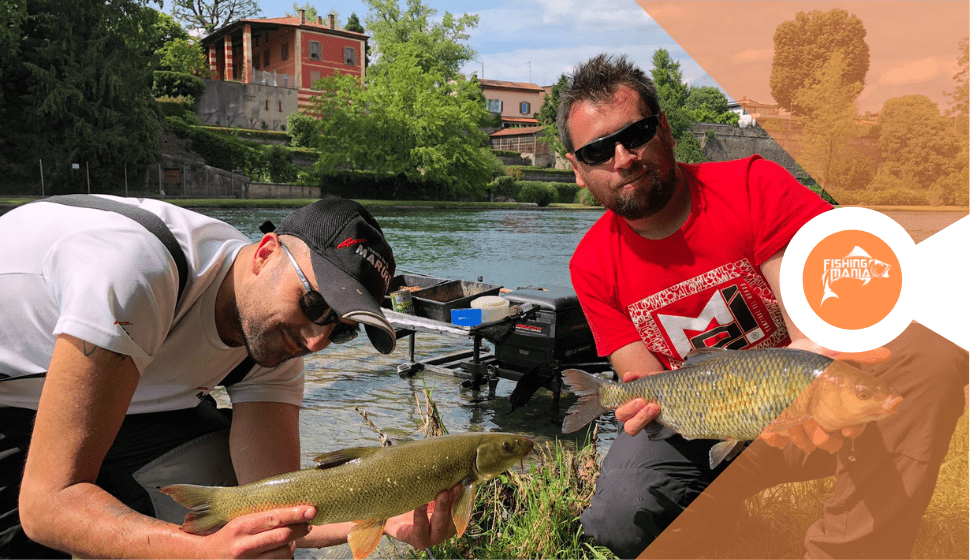 Pesca Light Feeder in Oglio