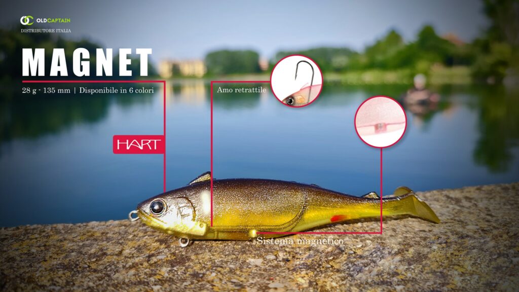 Magnet softbait di casa Hart Fishing