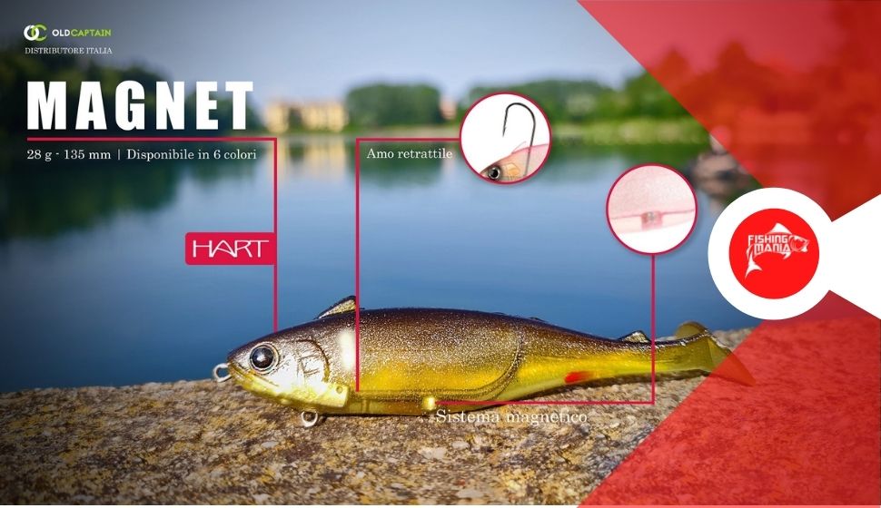 Nuovo sofbait innovativo. Il Magnet casa Hart Fishing