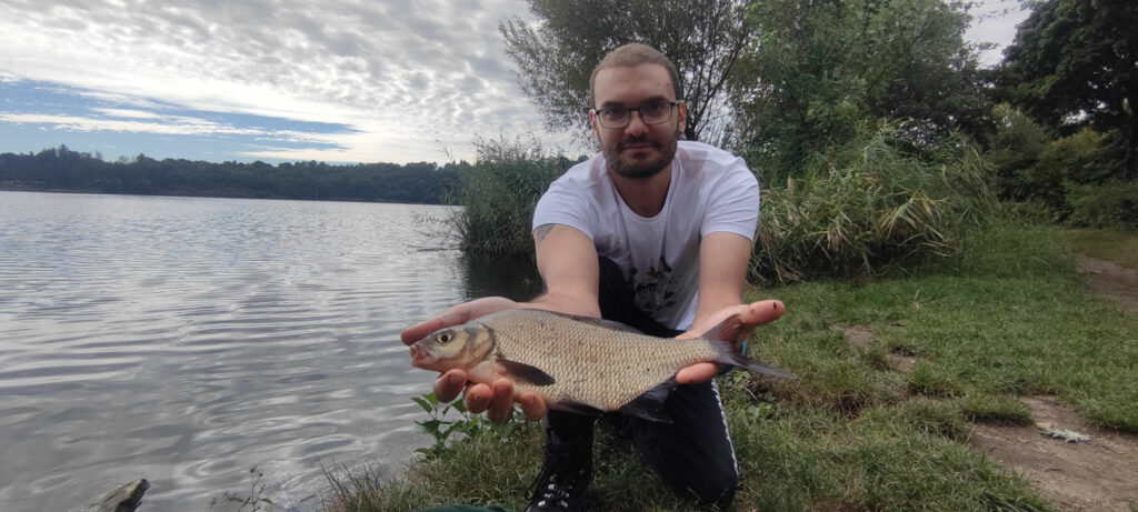 Una breme del lago di Montorfano