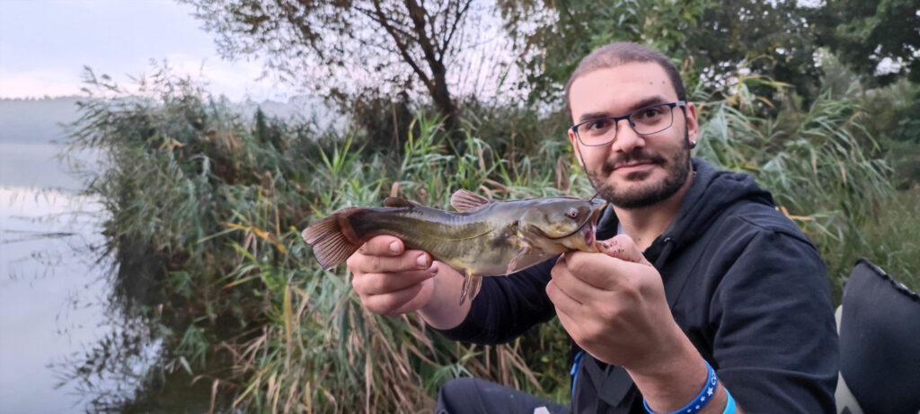 Pesce gatto del lago di Montorfano