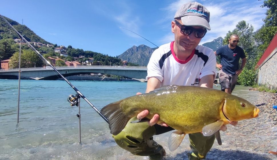 Tinca di Lecco presa da Ale