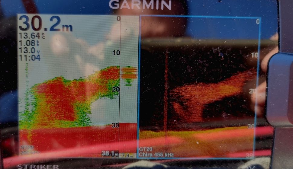 Banco di persici su ecoscandaglio garmin