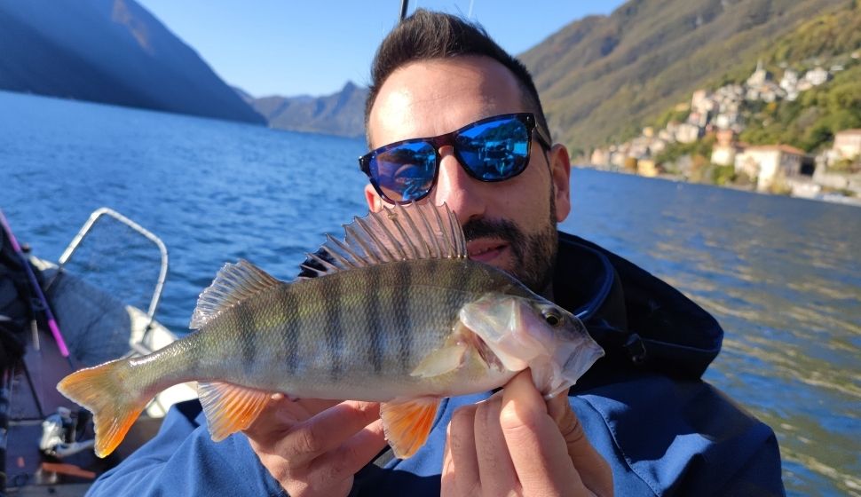 persico del lago di lugano