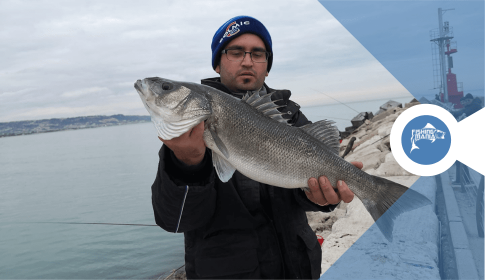 Galleggianti per la Pesca in Mare – Novità Colmic 2022 - Fishingmania