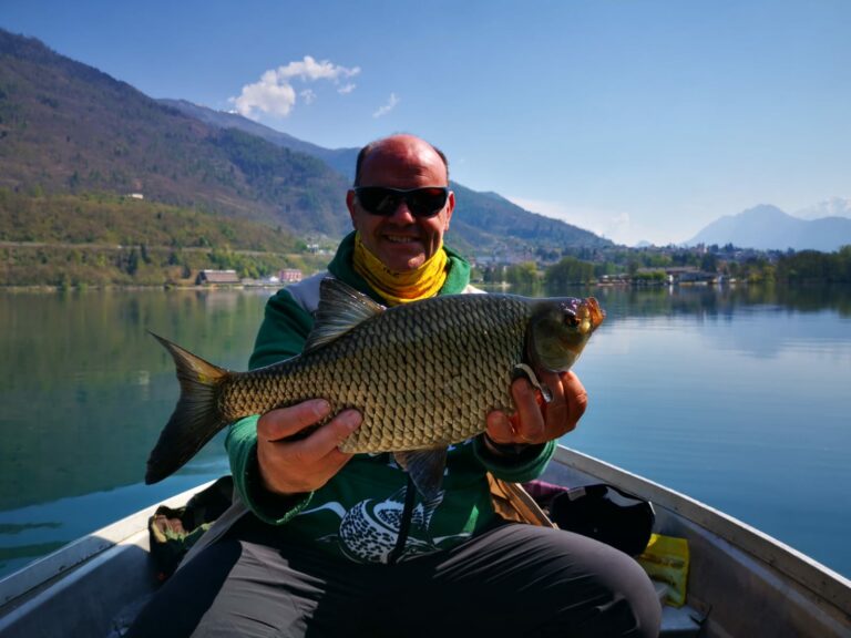 Grossa scardola del lago di levico