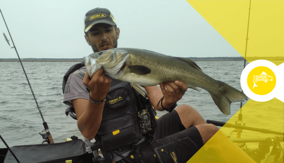 Novità 2023 Kayak Fishing Seika