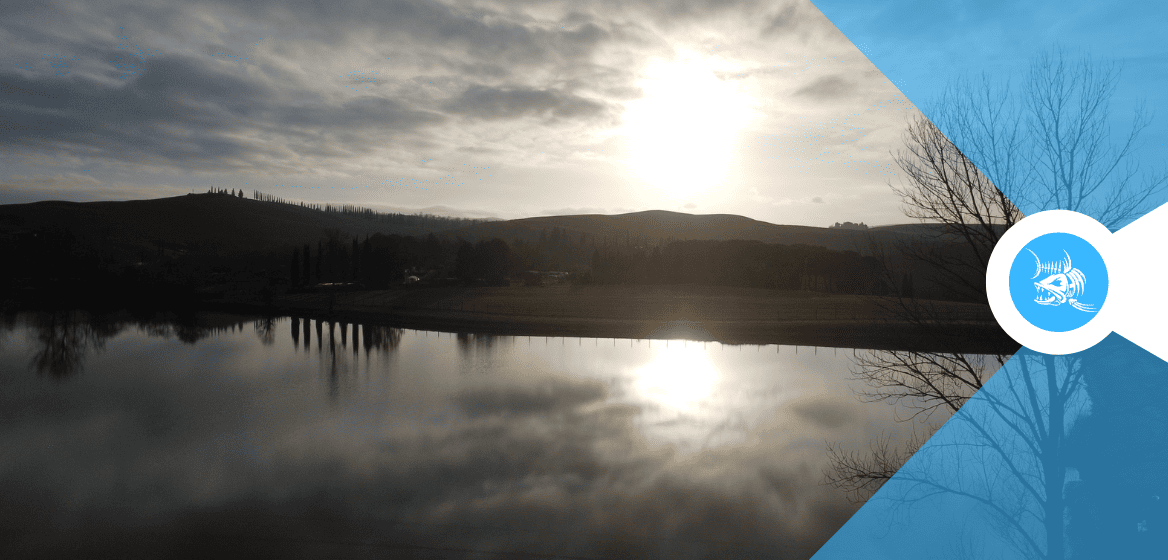 Alla Certaldo 1967 il Trofeo Interprovinciale Lago del Lago Niccolini a Siena