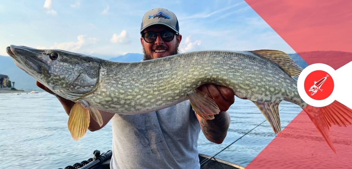 Charter di pesca nel lago maggiore grosso luccio