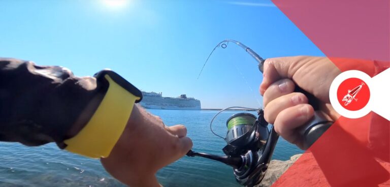 Piega della canna x1 travel favorite