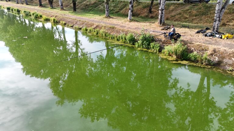 La sponda frontale del tratto di campo gara sul Canale Navigabile denominato Le Piantine