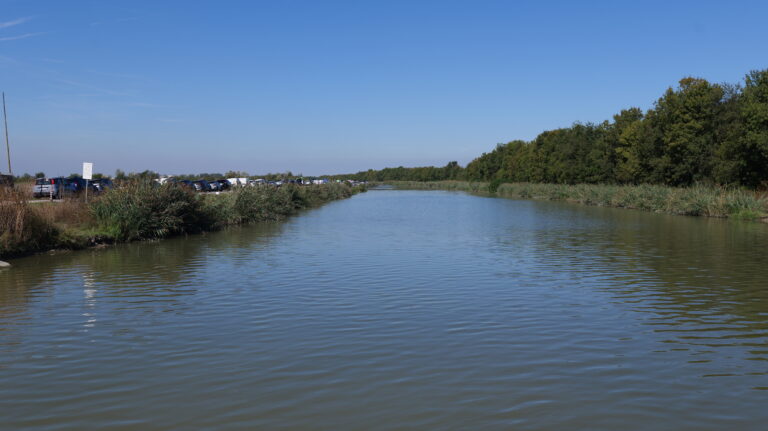 Panoramica della Fiuma in Mandria Nuova