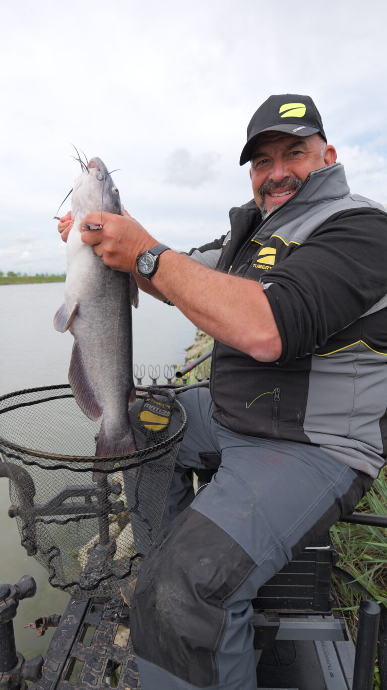 Pesce Gatto del Canal Bianco a Loreo